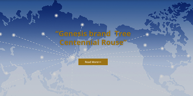 香港六宝典资料大全